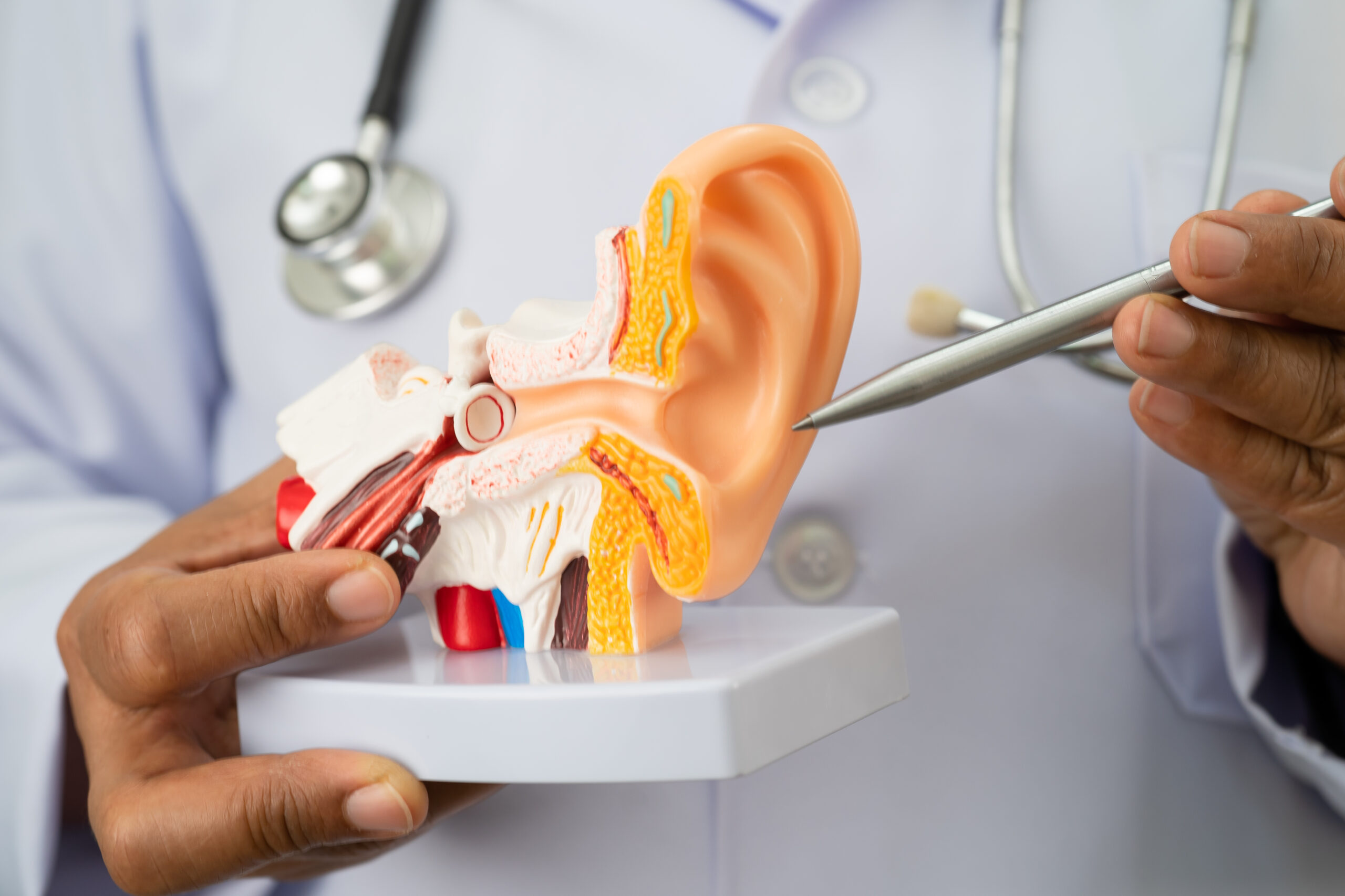 Ear Care Formulations 